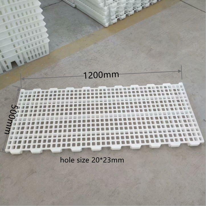 塑料养鸭垫板鸭舍漏粪板养鸭用漏粪板