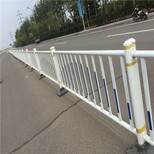 山东道路护栏小区隔离栏杆人行道护栏图片3