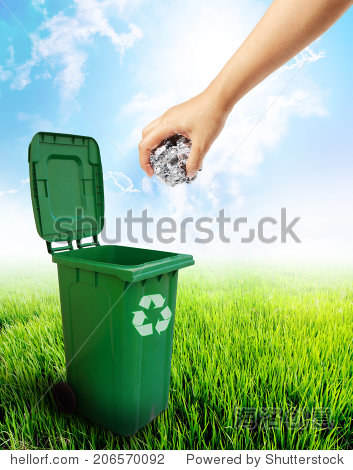 206570092.jpg