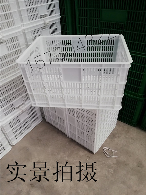 實景拍1 085.jpg