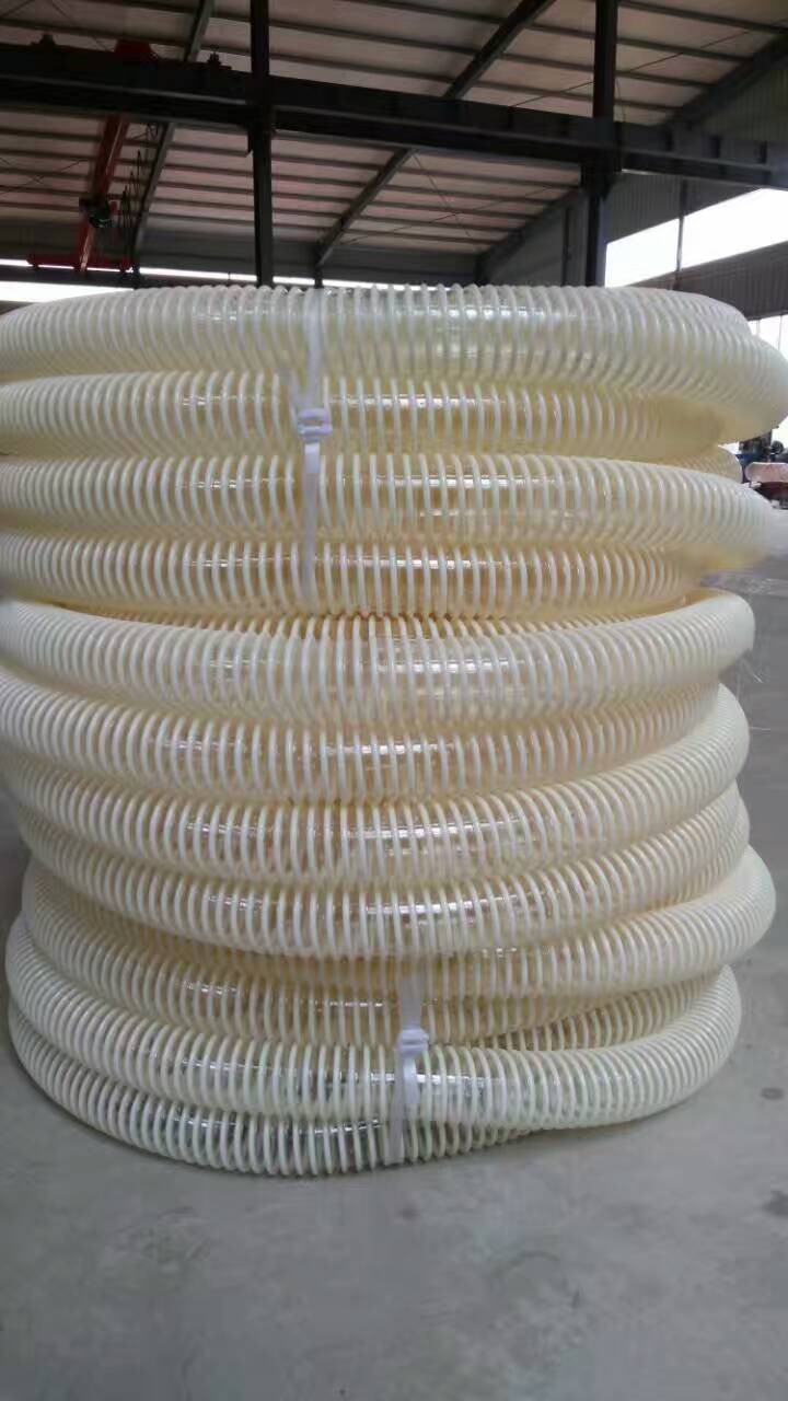 872299417527571171.jpg