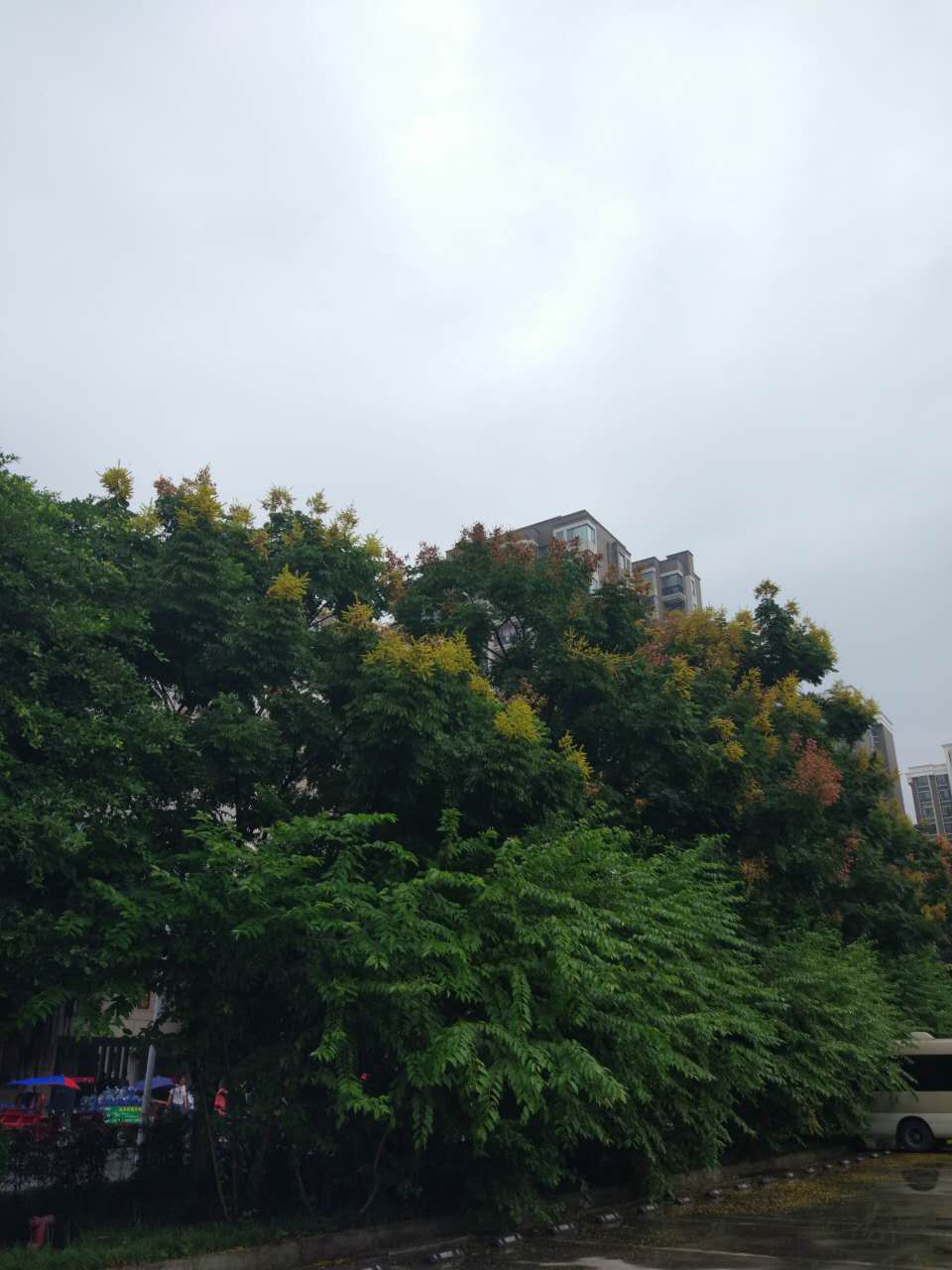 4770032.jpg