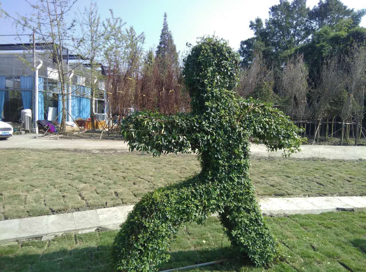 256843.jpg