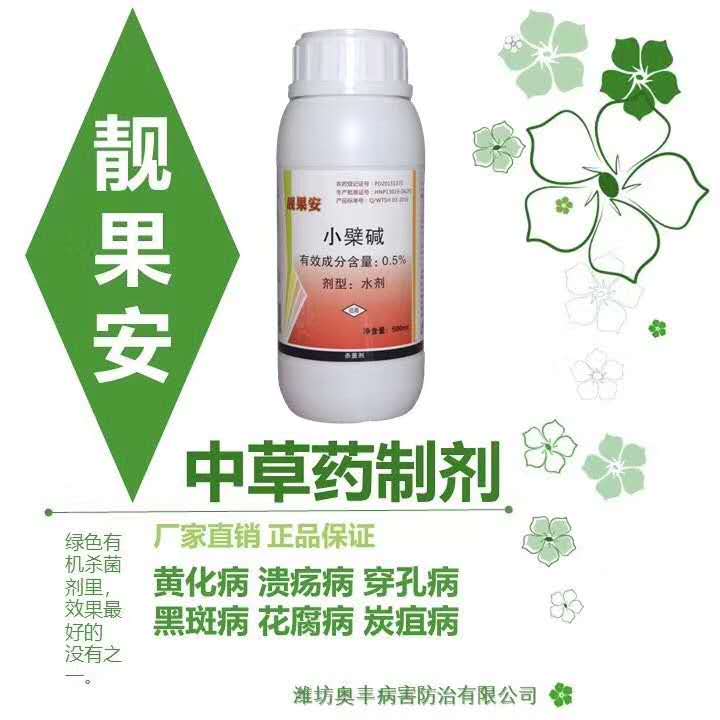 柑橘得了溃疡病用奥丰中草药管用吗