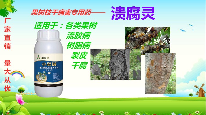潰腐靈.jpg