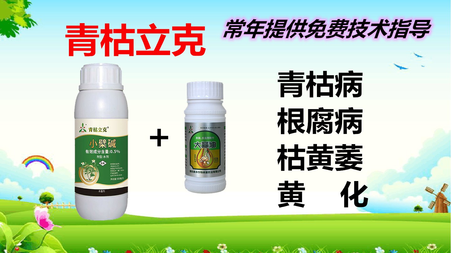 青枯根腐.jpg