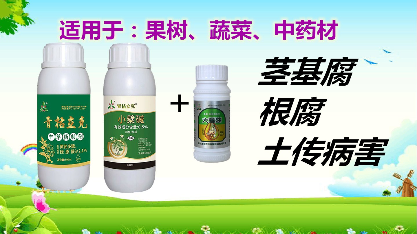 莖基腐.jpg