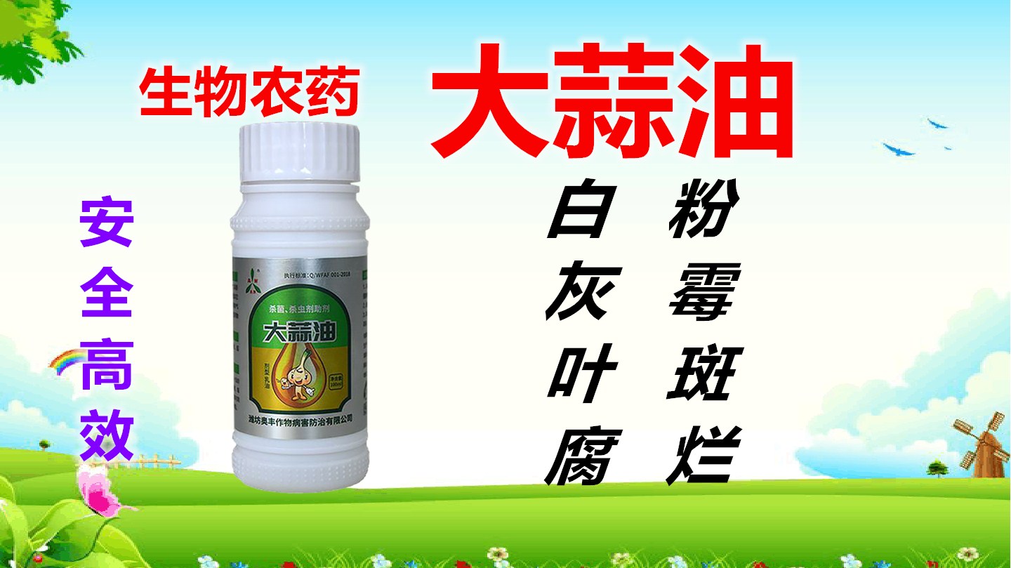 u=1936316146,1951982632&fm=26&gp=0_副本.jpg