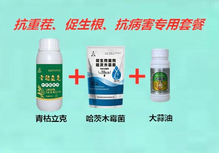 重茬藥.jpg