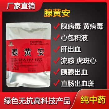 40天肉鸡得安卡拉怎么办安卡拉疾病预防措施