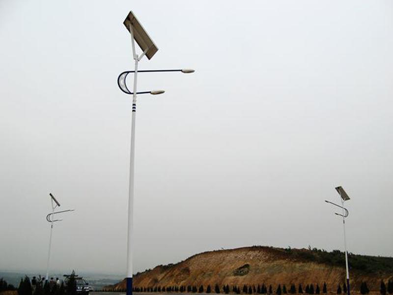 p54.jpg