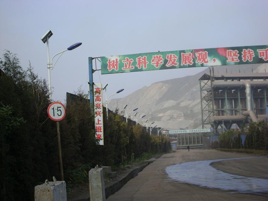 286.jpg