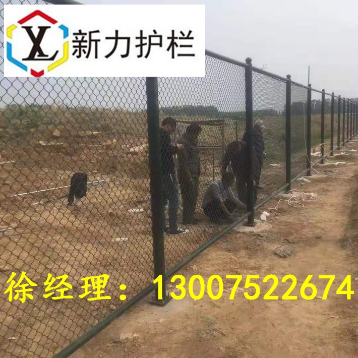 球場75.jpg