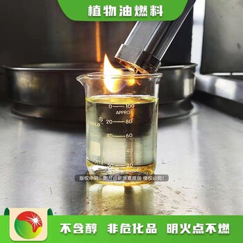 重庆渝中厨房燃料环保无醇植物油燃料实体厂家