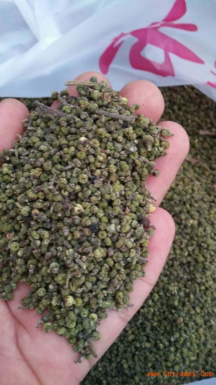 吴茱萸（茶辣木）中花品种收购价格高，产量稳定，广西河池扶贫项目。