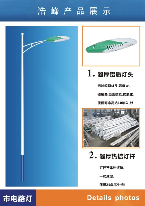 市电路灯火炬灯.jpg