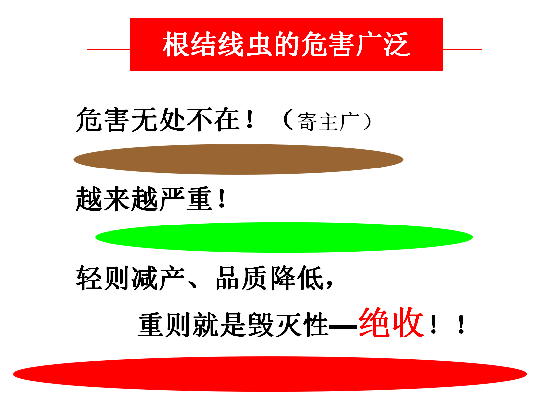 圖片_205.png