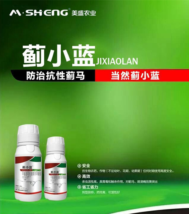 薊馬_副本.jpg