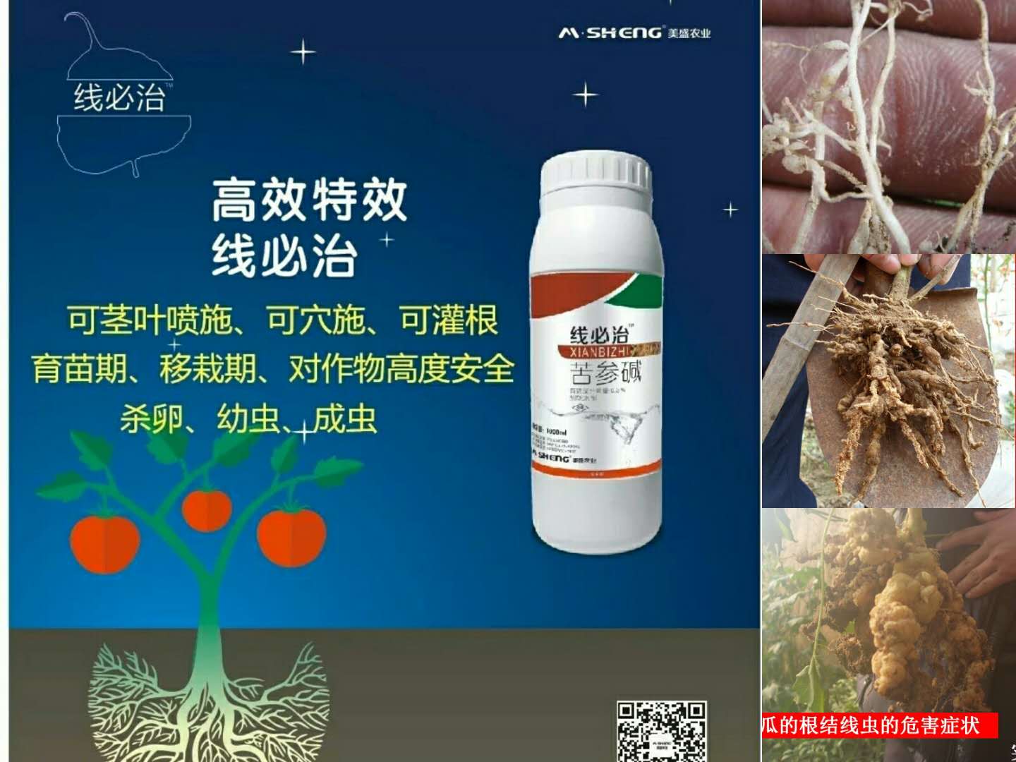 圖片_203.jpg