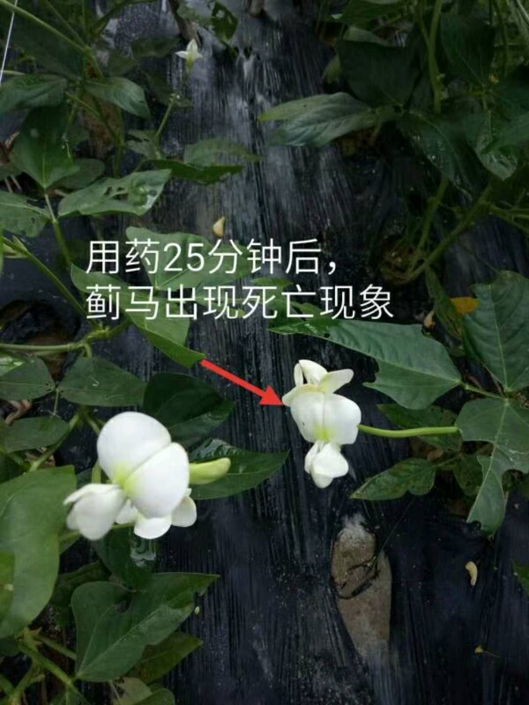 圖片_202.jpg