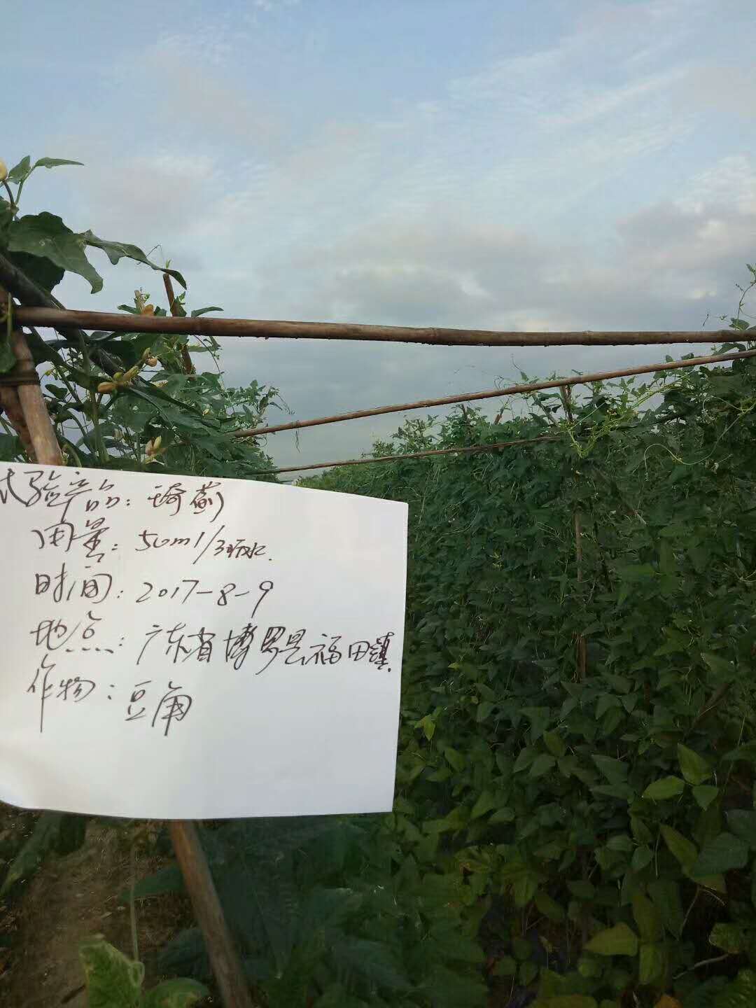 圖片_208.jpg