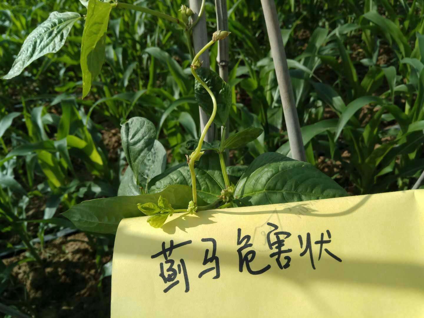 圖片_204.jpg