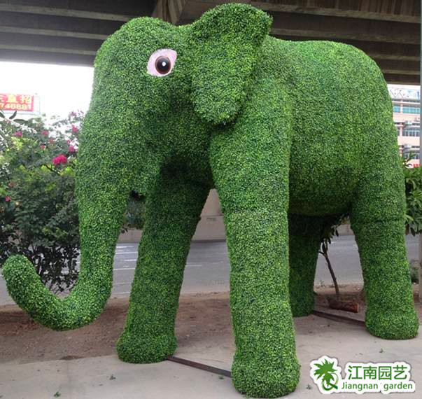 大象.jpg