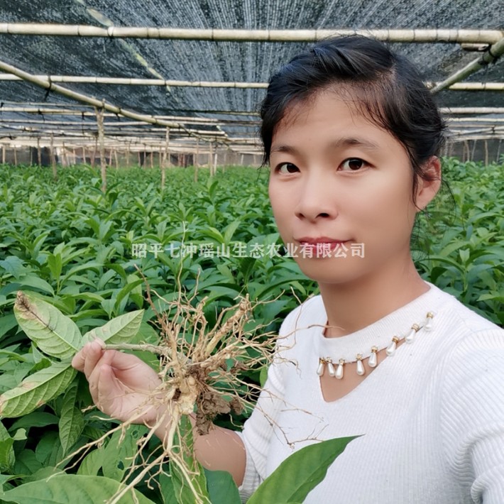圖片_28.jpg