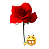 75193.gif
