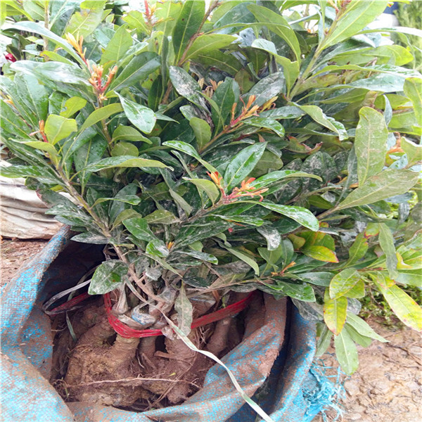 20160324_092108.jpg