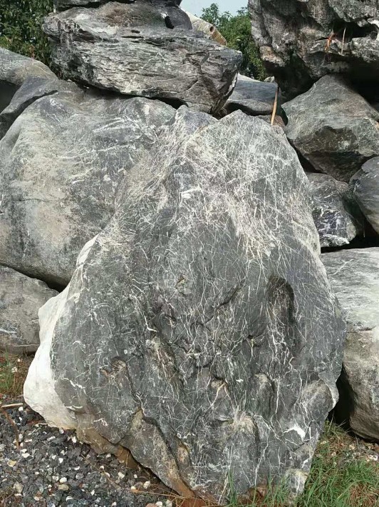 1540881933473486.jpg