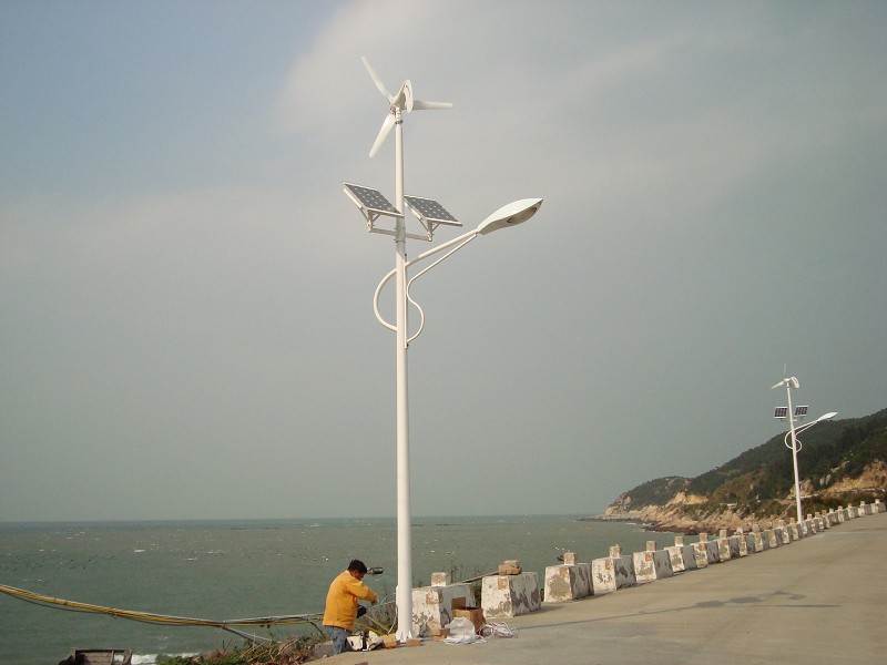 /麗水松陽縣-6米30w風(fēng)光互補(bǔ)路燈經(jīng)銷批發(fā)//