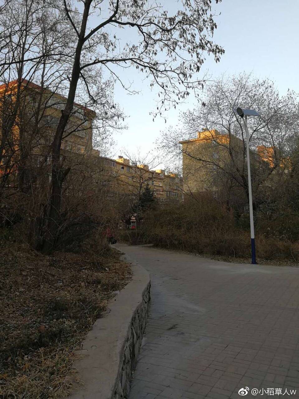 圖片_205.jpg