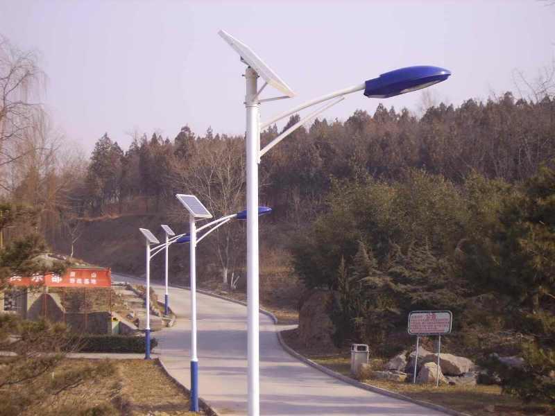 8806293.jpg