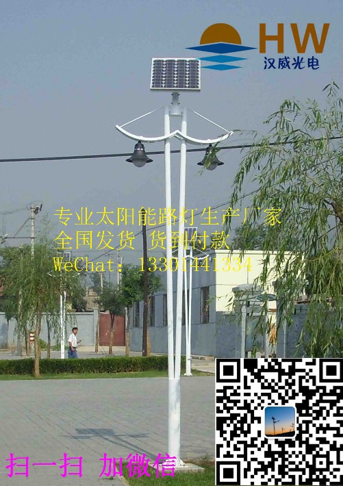 297078.jpg