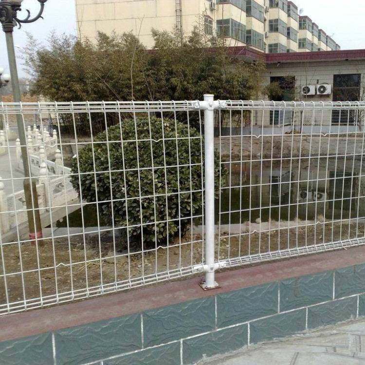 雙圈6.jpg