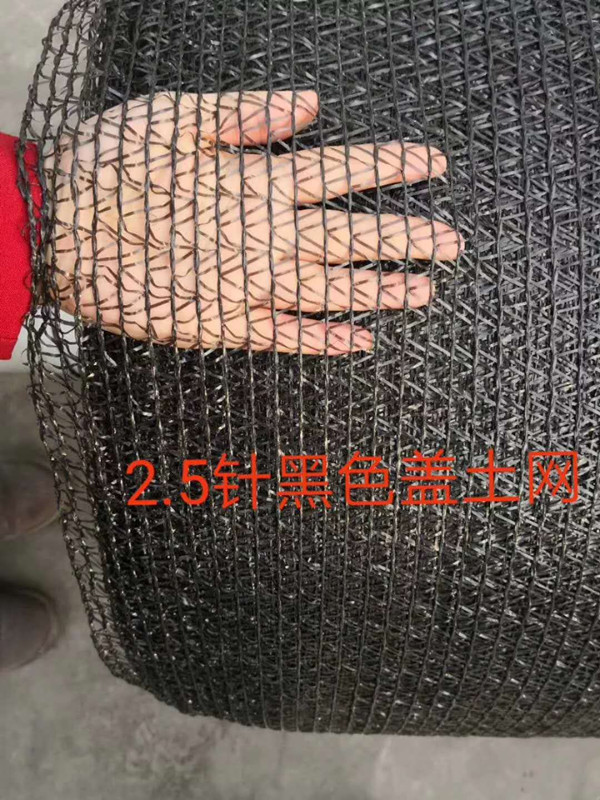 黑2.5.jpg