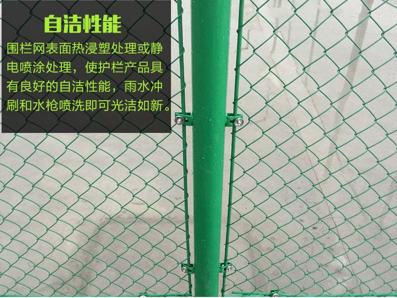 球場7.jpg