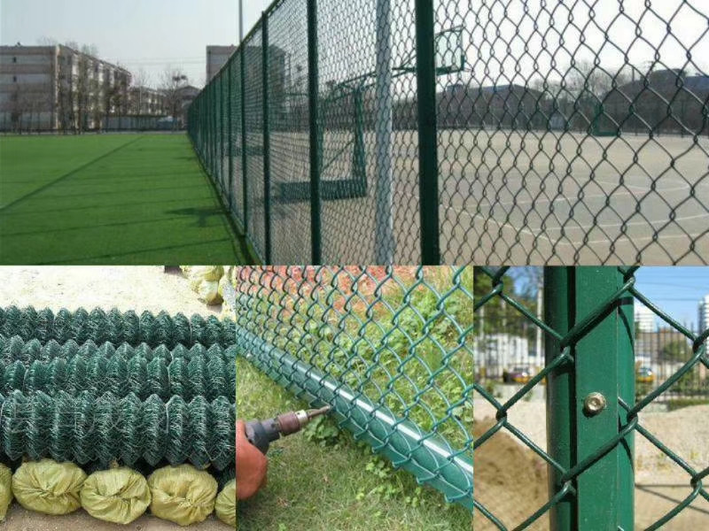 球場4.jpg