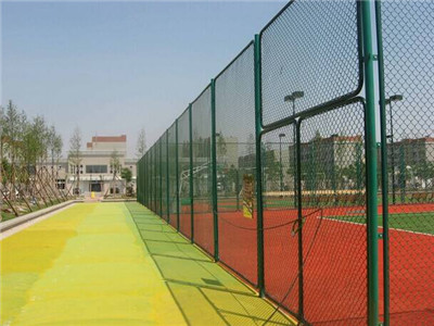 28595_784.jpg