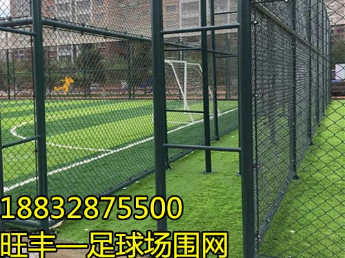 4_634_232296_500_375.jpg