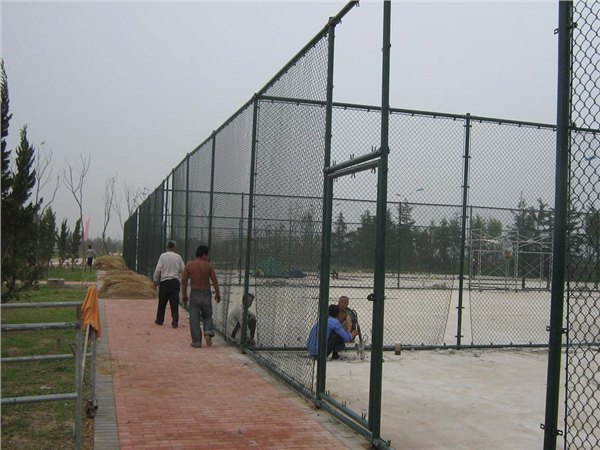 201608245.jpg