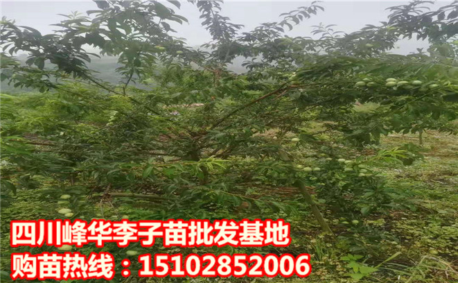 圖片_2120.jpg