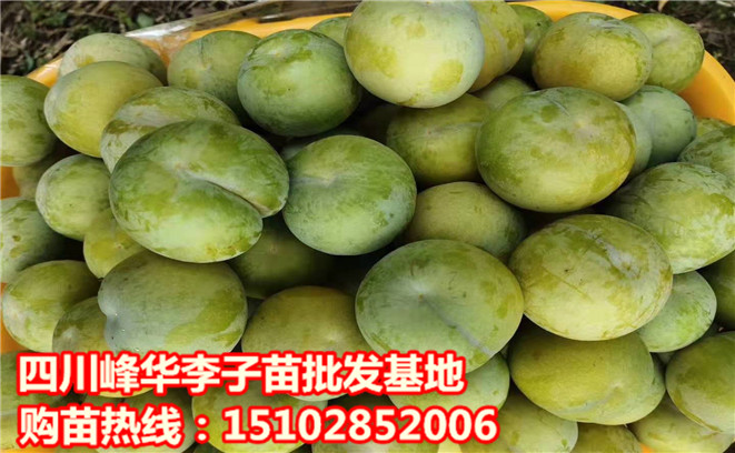 圖片_2113.jpg