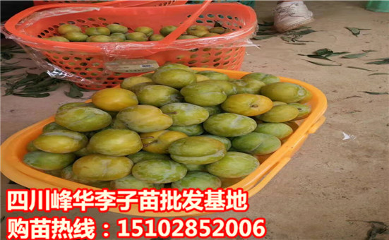 圖片_2717.jpg