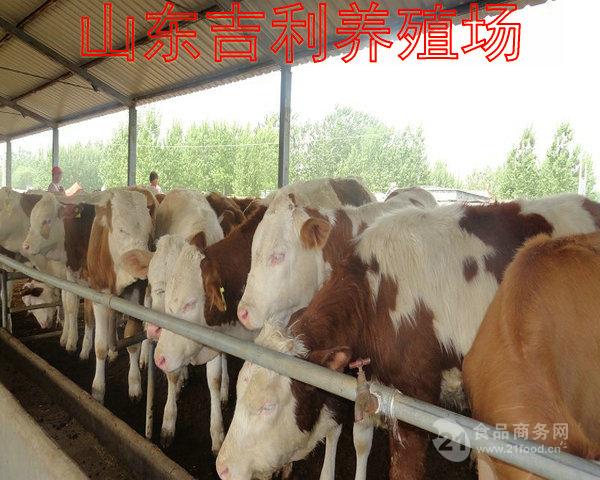 广西南宁养牛有多少钱补贴