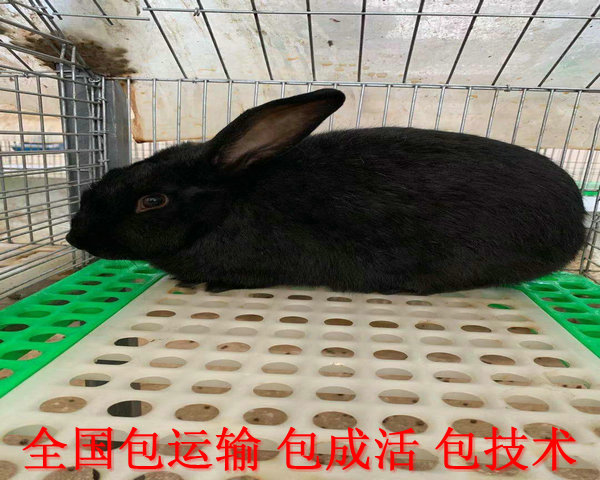圖片20.jpg