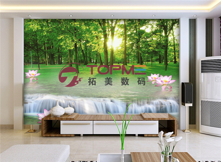 5d背景墙打印机3d电视背景墙打印机厂家直销
