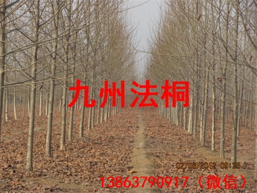 product31.jpg