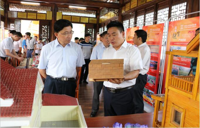 DAV探展ISLE2025：千企汇聚共鉴前沿显示技术与创新应用！